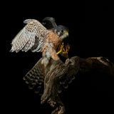 Night Hawk Poster och Canvastavla