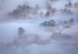 breath Poster och Canvastavla