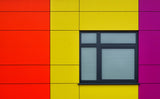 My neighbour Poster och Canvastavla
