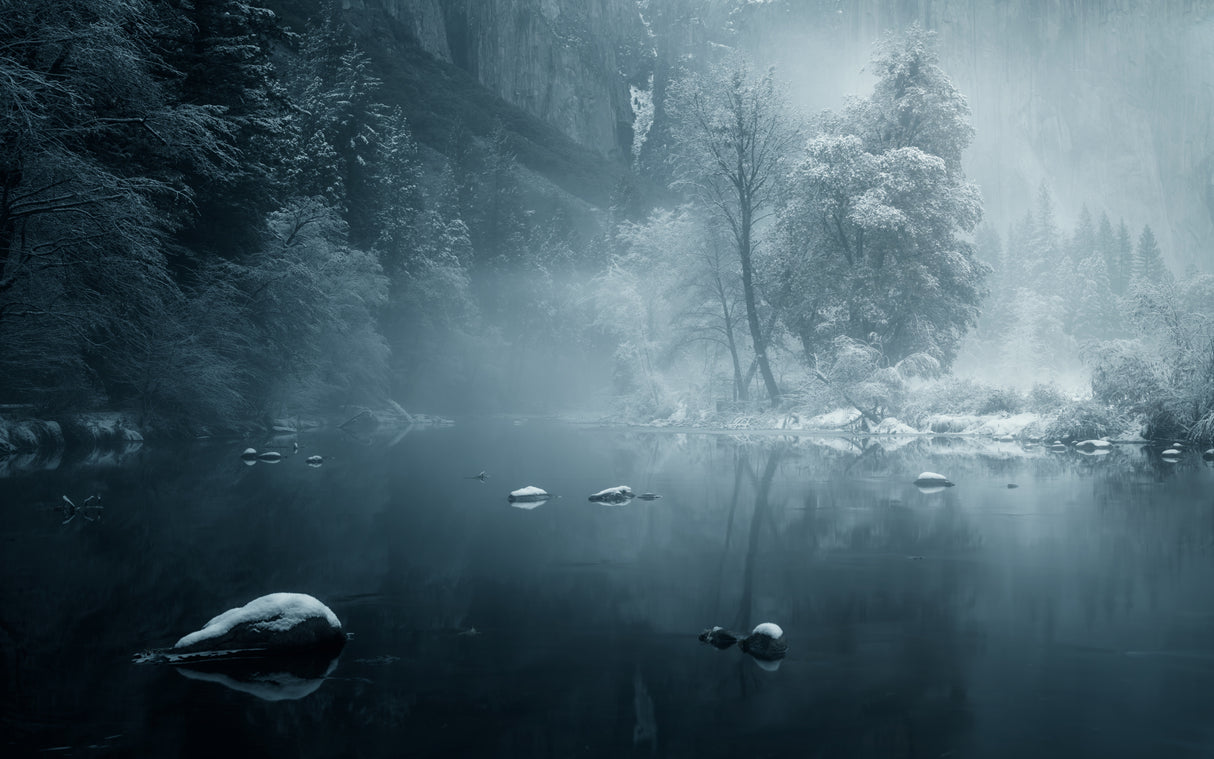 Winter wonderland Poster och Canvastavla