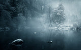 Winter wonderland Poster och Canvastavla