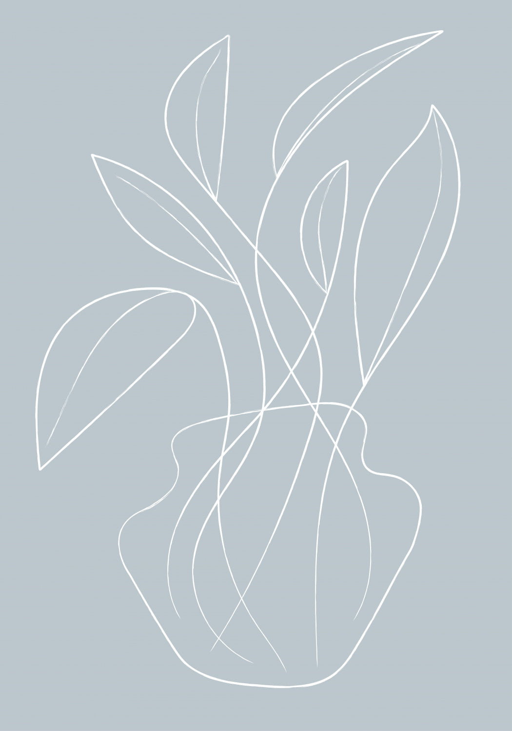 Vase Lines Poster och Canvastavla