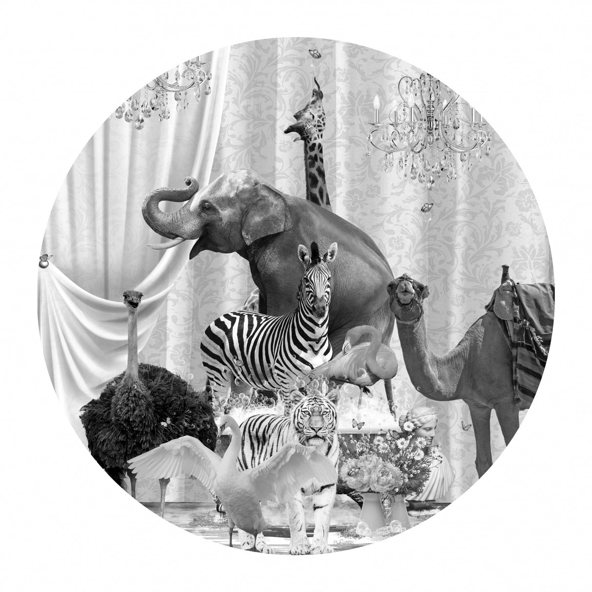All Together &amp; Bubbles Black &amp; White Poster och Canvastavla