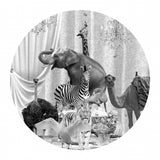 All Together &amp; Bubbles Black &amp; White Poster och Canvastavla