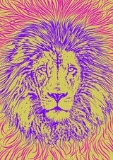 Lion Portrait – King of the Beasts Poster och Canvastavla