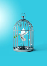 Free the Peace Poster och Canvastavla