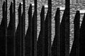 shadows on the wall Poster och Canvastavla