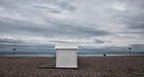 Dull days are "nature's softbox" (series: 2) Poster och Canvastavla