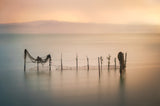 Sunset in L'Albufera Poster och Canvastavla