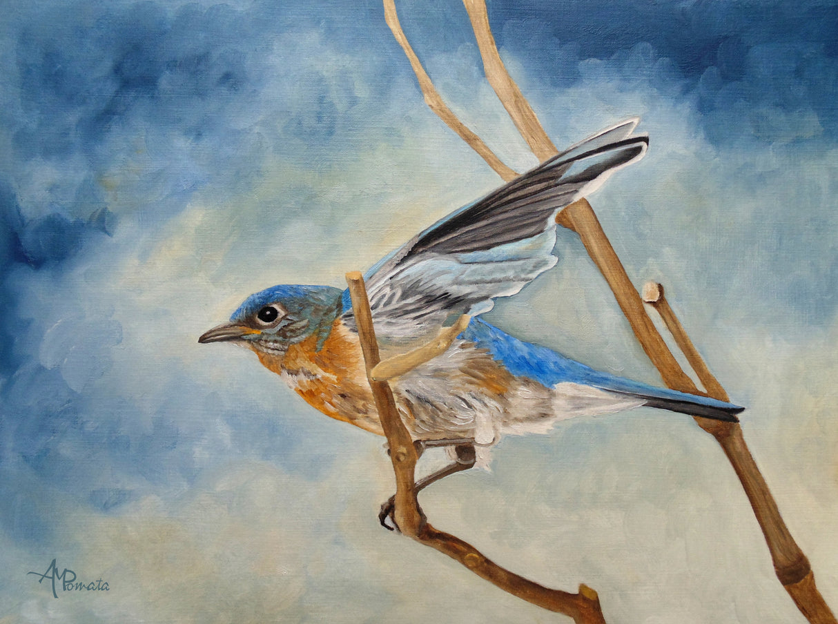 Bluebird, Blue Morning Poster och Canvastavla