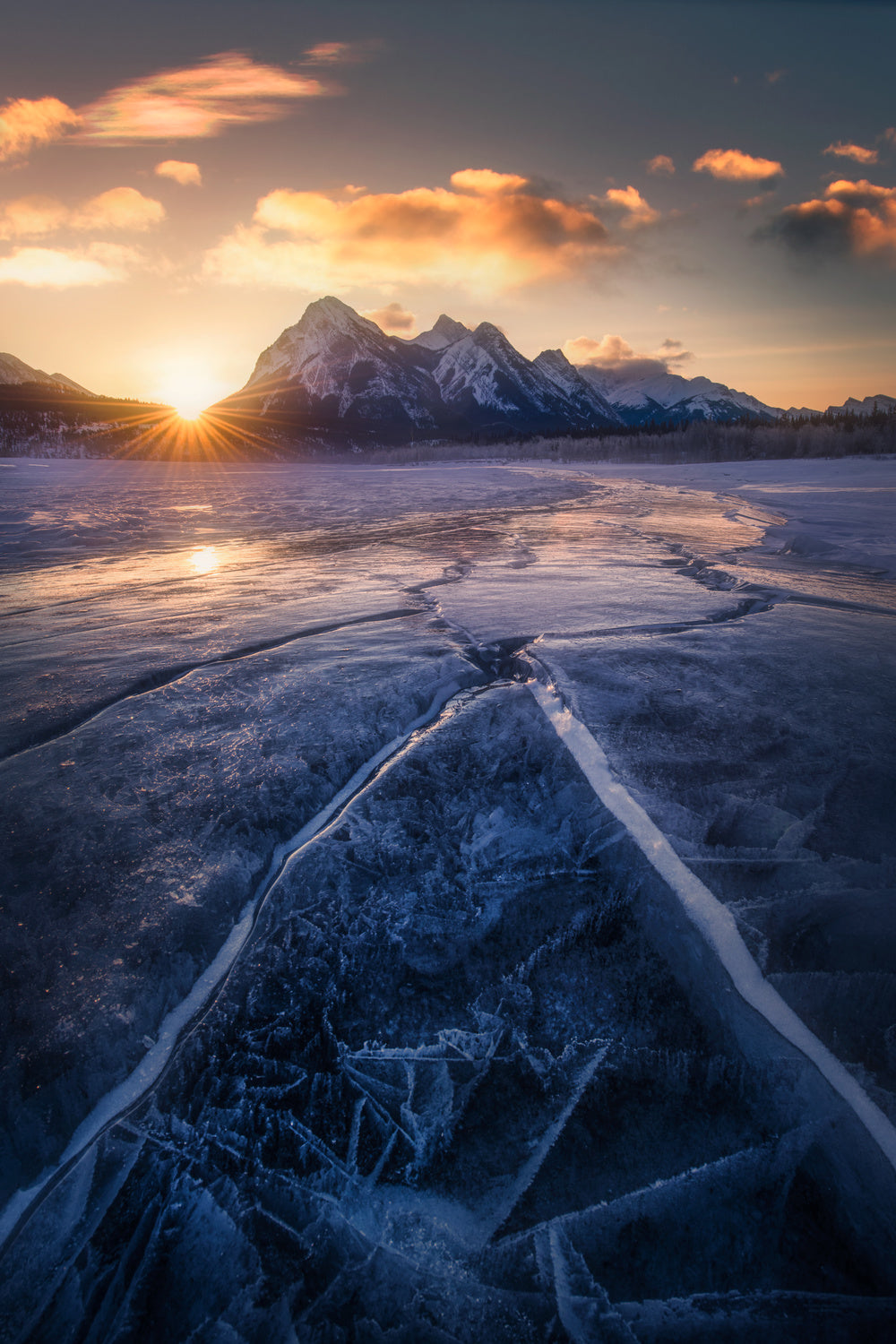 Winterscape Poster och Canvastavla