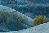 Between fall and winter Poster och Canvastavla