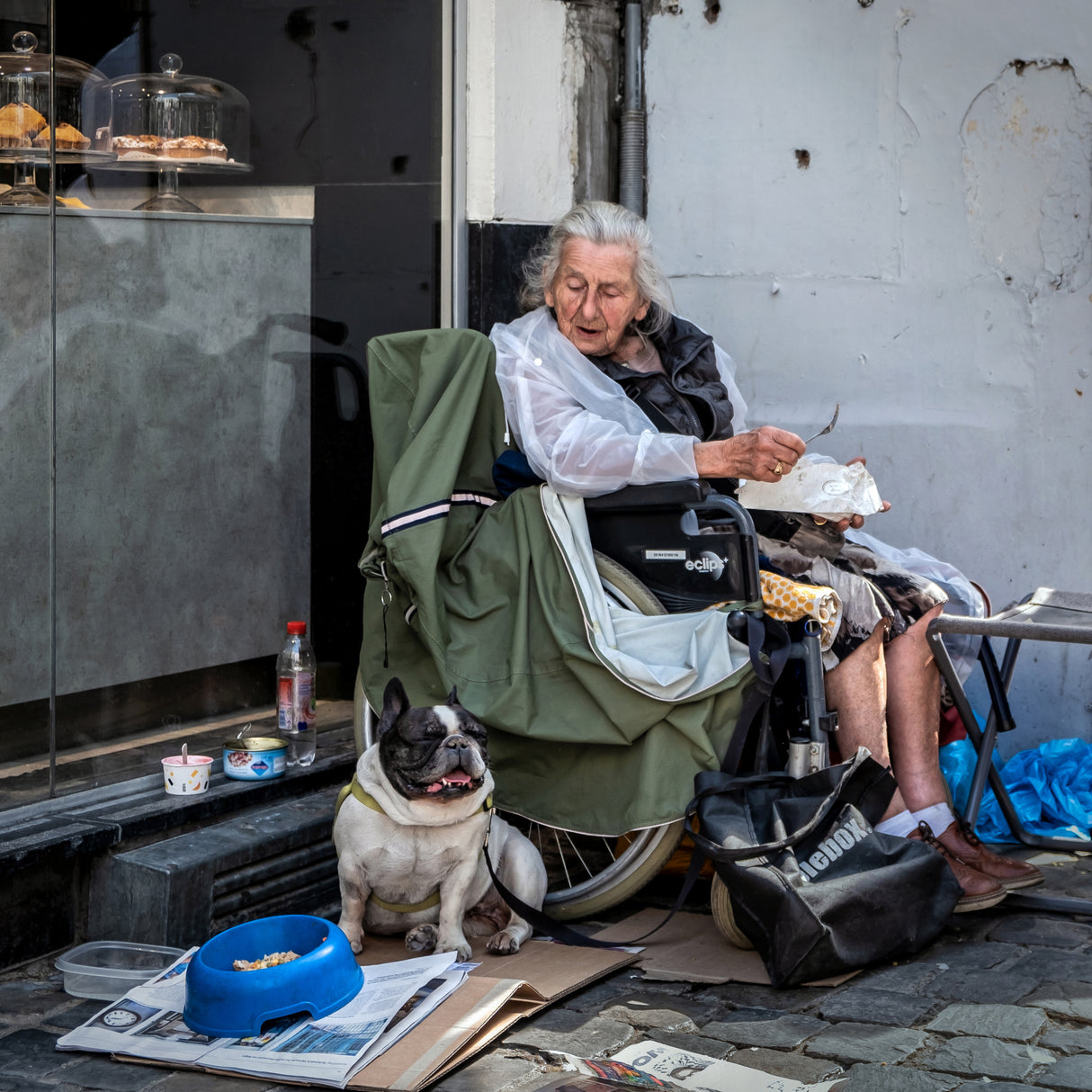 Dog's Life Poster och Canvastavla