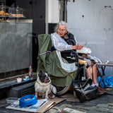 Dog's Life Poster och Canvastavla