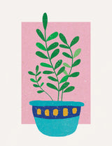 Plant in Sunset Poster och Canvastavla