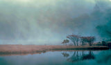 Blue Hour Poster och Canvastavla
