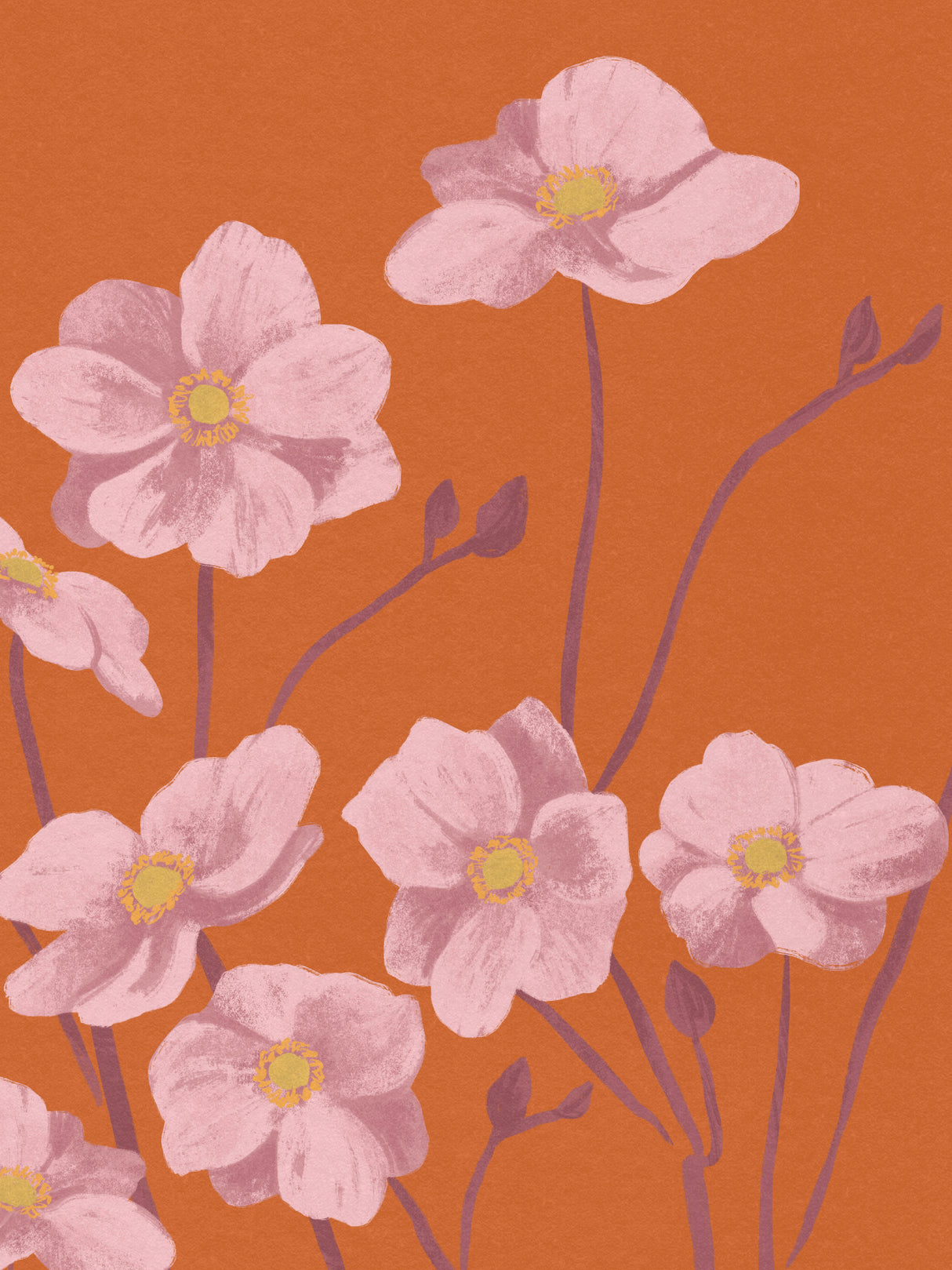 Anemone Poster och Canvastavla