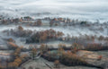 misty fields Poster och Canvastavla