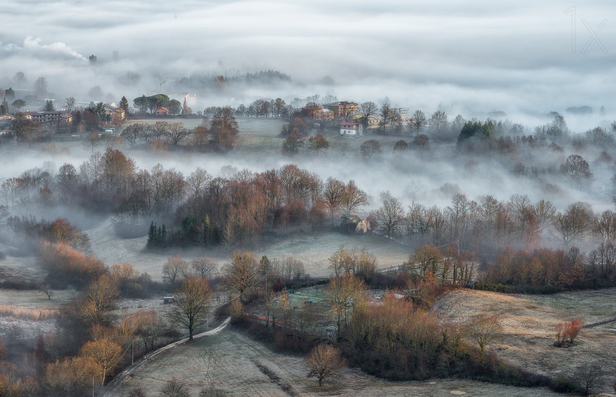 misty fields Poster och Canvastavla