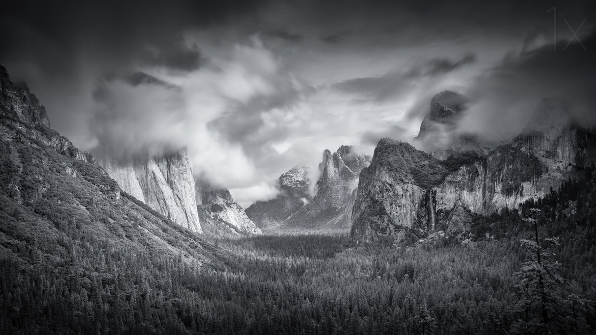 Yosemite Valley Poster och Canvastavla