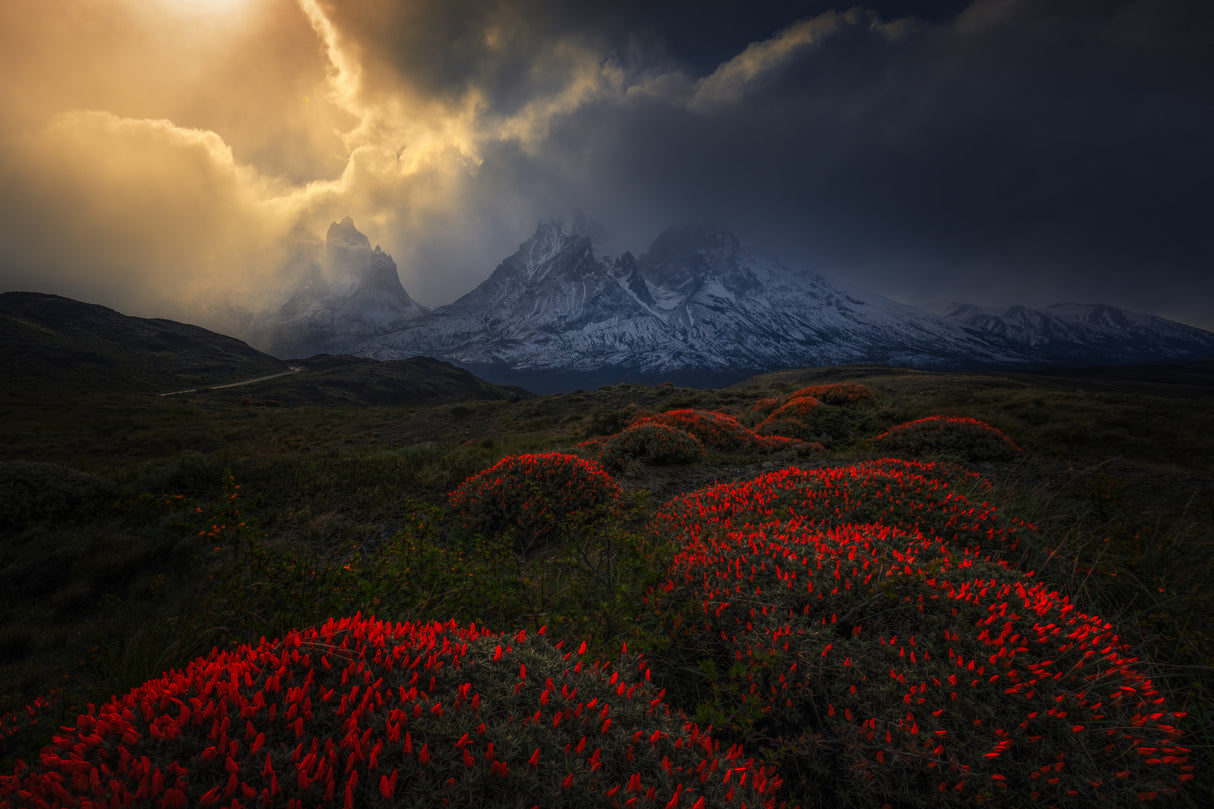 Fire balls of Torres del Paine 2 Poster och Canvastavla