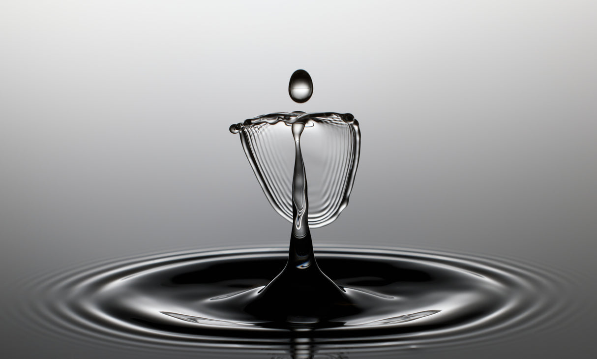 Waterdancer Poster och Canvastavla