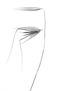 in the wind Poster och Canvastavla
