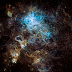 Tarantula Nebula Poster och Canvastavla