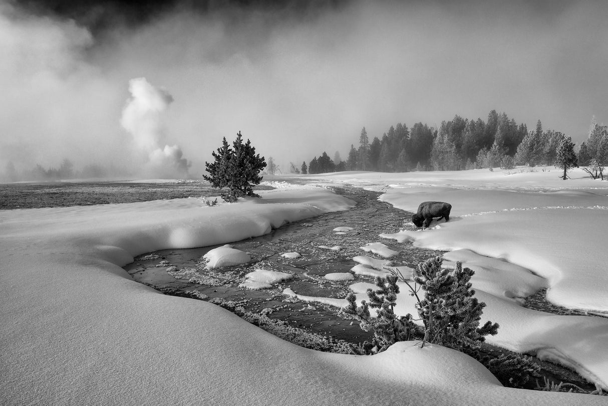 The Hardship of Winter Poster och Canvastavla