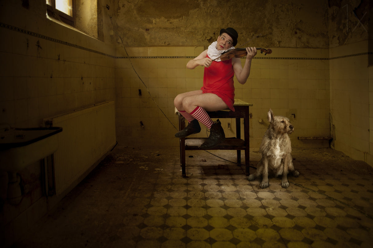 The violinist Poster och Canvastavla
