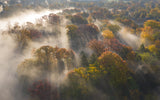 Colour of Autumn Poster och Canvastavla