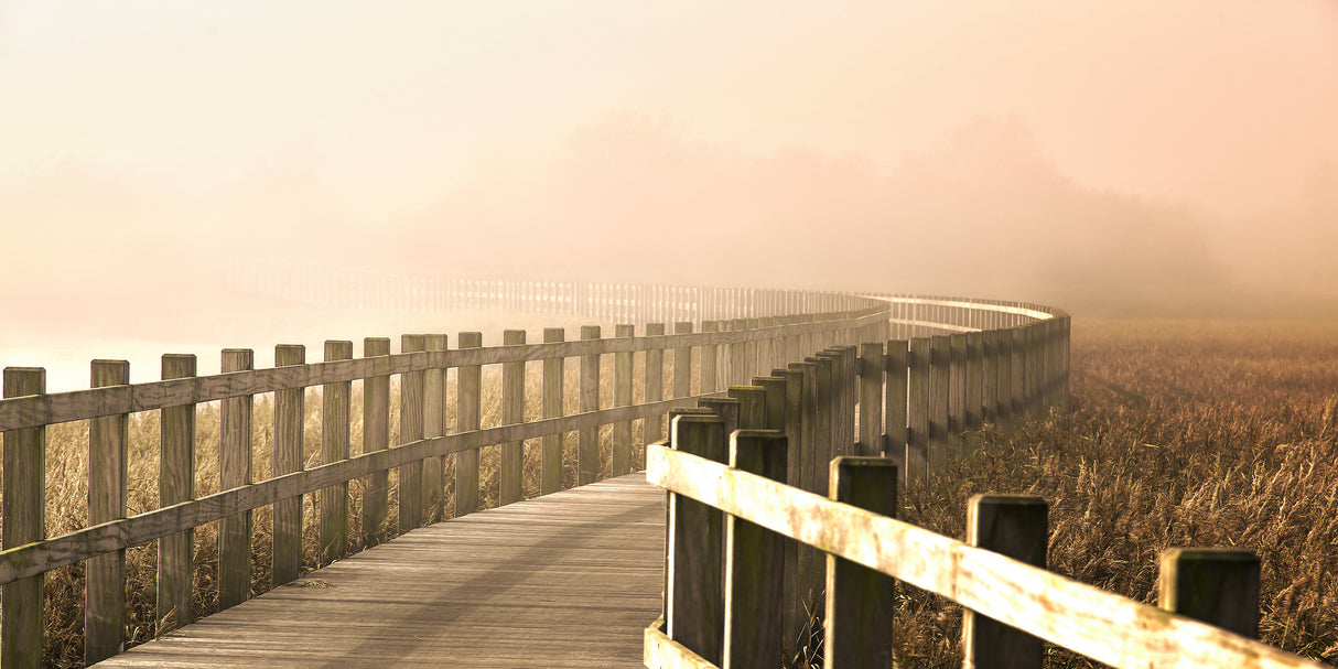 The Path gets brighter. Poster och Canvastavla
