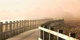 The Path gets brighter. Poster och Canvastavla