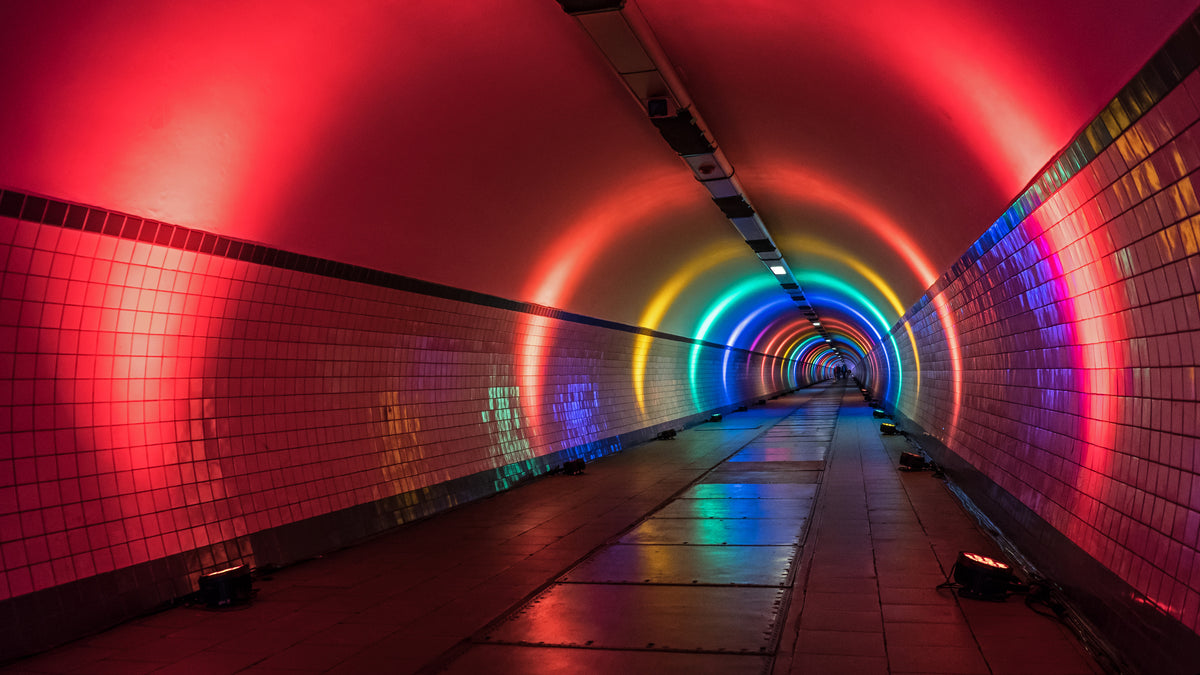 Rainbow Poster och Canvastavla
