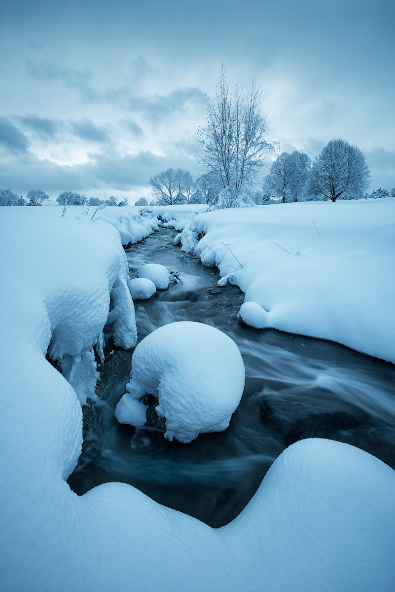 Fluffy Winter Poster och Canvastavla