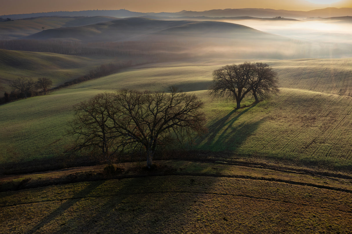 Tuscan morning Poster och Canvastavla