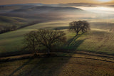 Tuscan morning Poster och Canvastavla