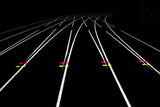 Catch me if you can Poster och Canvastavla