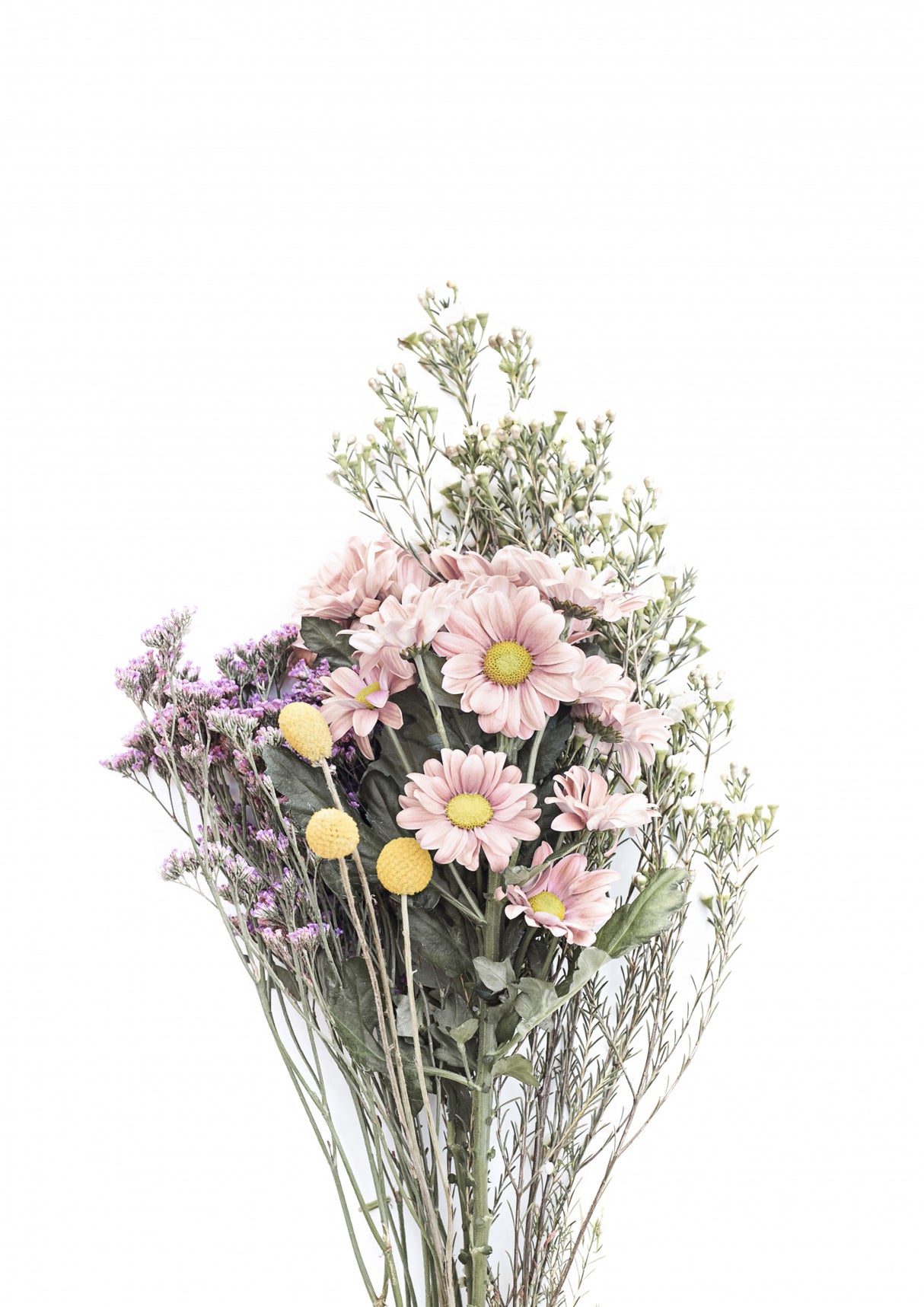 Wildflowers Poster och Canvastavla