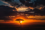 Perfect sunset Poster och Canvastavla