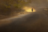 Rider on the Dust Poster och Canvastavla