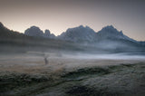Misty Morning Poster och Canvastavla