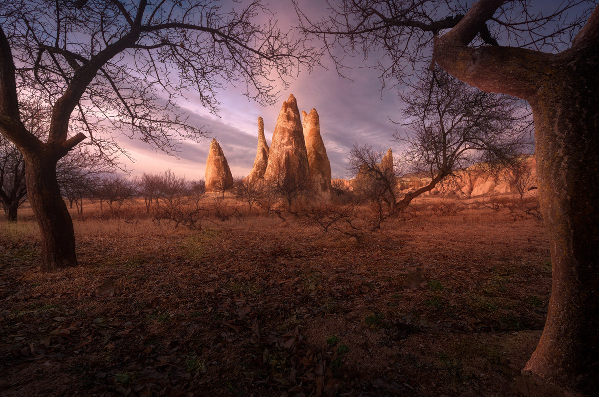 Sunset over Cappadocia Poster och Canvastavla