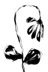 Black Flower Poster och Canvastavla