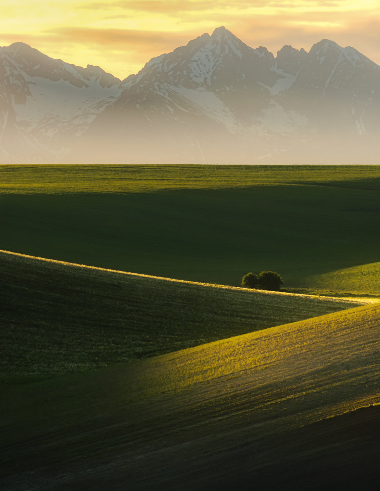 Spring sunset Poster och Canvastavla