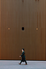 stripe Poster och Canvastavla