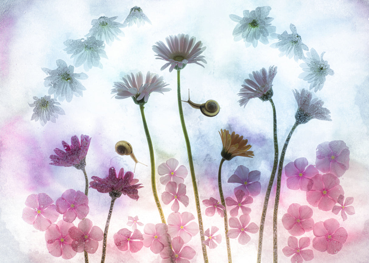 pink poetry Poster och Canvastavla