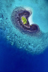 Slice of paradise Poster och Canvastavla