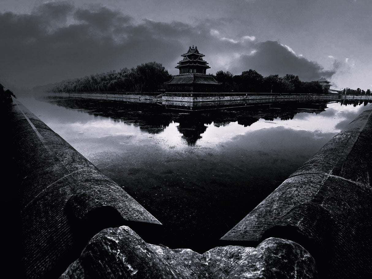 Watchtower B/W Poster och Canvastavla