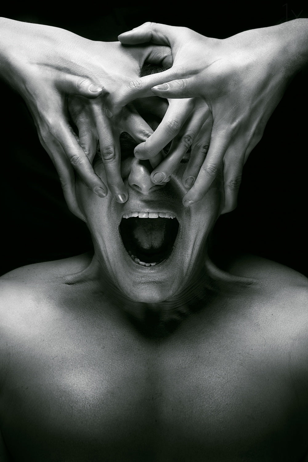 Scream Poster och Canvastavla